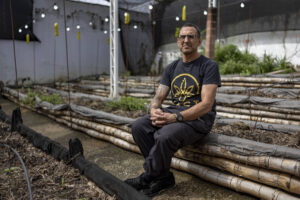 Associações de Cannabis viram alvo da polícia de São Paulo - 07/10/2026 - Cotidiano