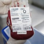SUS faz transporte aéreo de sangue raro do Ceará a Minas - 09/10/2026 - Equilíbrio e Saúde