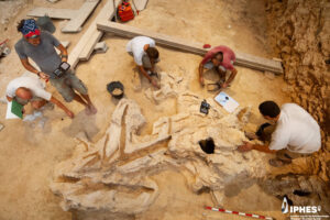 Neandertais tiveram 'Idade da Madeira' na Espanha - 10/10/2026 - Ciência